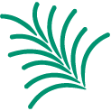 Evergreen ILS icon