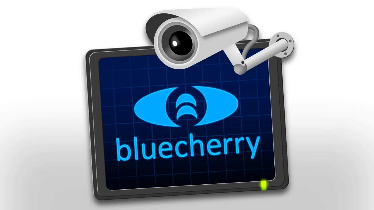 Preview of Bluecherry – Powerful Video Surveillance Software