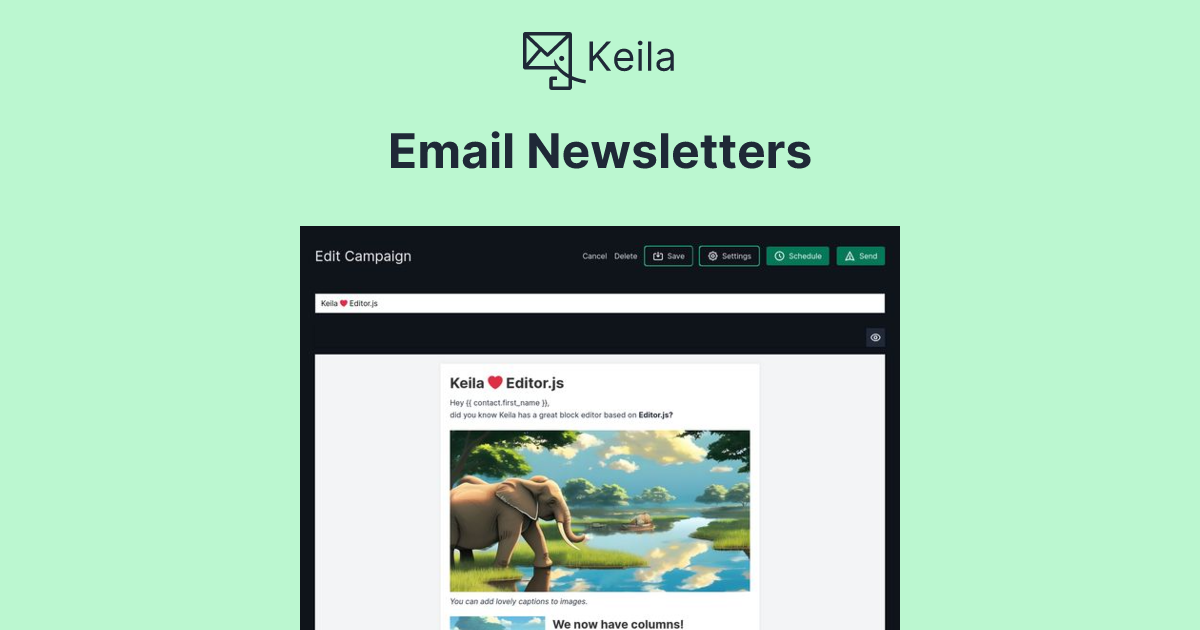 Preview of Keila - Open Source Email Newsletters Easy & Reliable